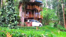 Jungle Jive Tree House