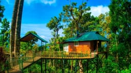 Kaivalyam Retreat Tree House Munnar