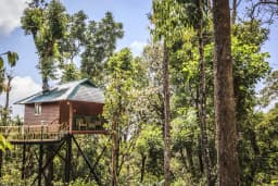 Kaivalyam Retreat Tree House Munnar - Image 3
