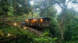 Tree House at Ela Ecoland Munnar