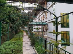 River Tree Hotel  - Image 5