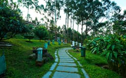 Munnar Mountain Club - Image 4