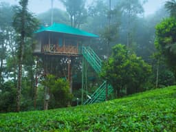 Dream Catcher Plantation Resort - Image 1