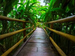 Dream Catcher Plantation Resort - Image 2