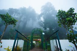 Misty Mountain Resort - Image 2