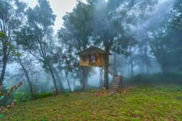 Nature Zone Resort Munnar - Image 2