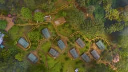 Nature Zone Resort Munnar - Image 3