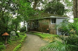 Tall Trees Resort Munnar - Image 1