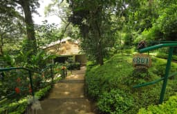Tall Trees Resort Munnar - Image 5