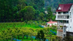 Misty Hills Homestay