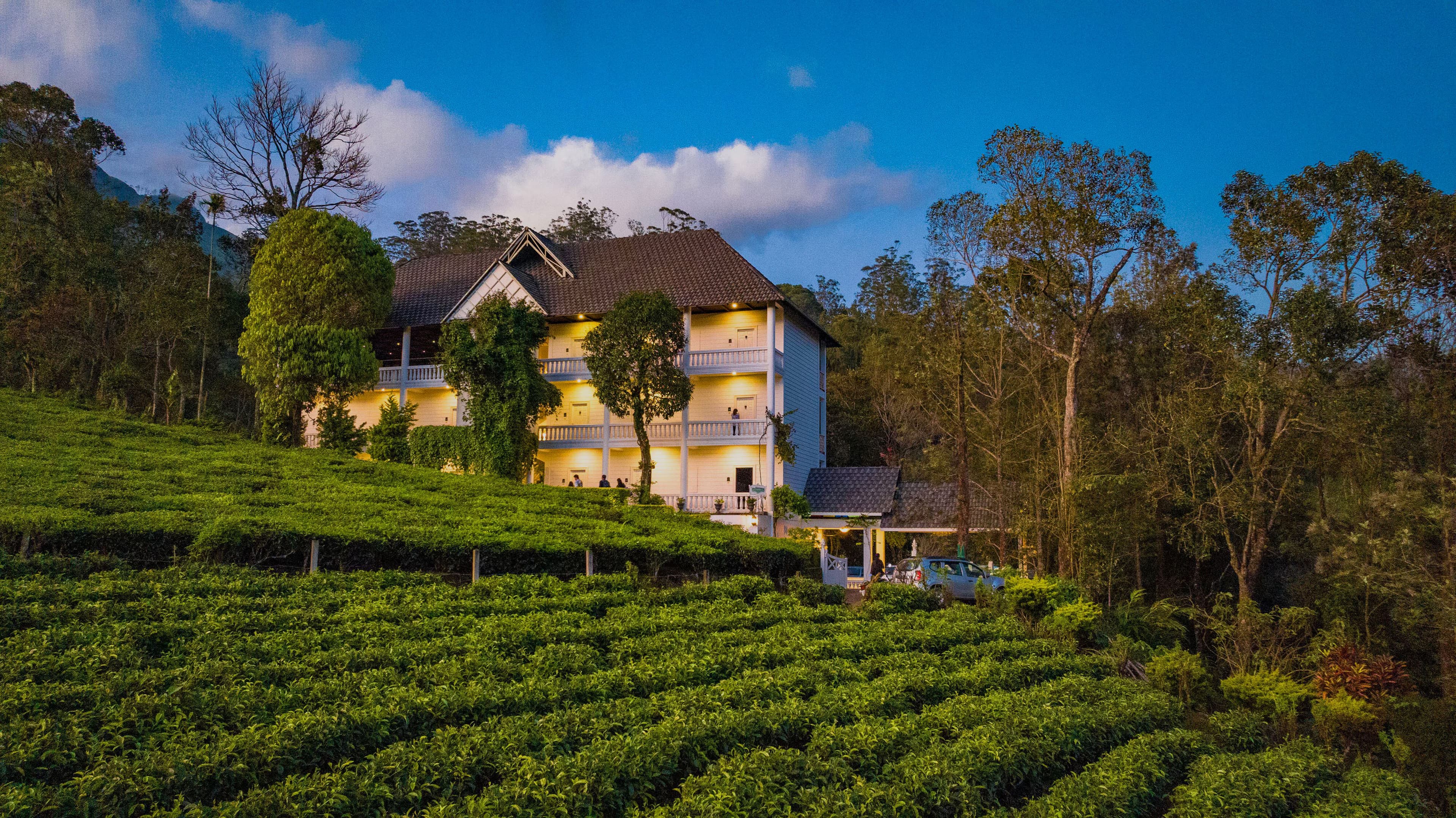 Tea Harvester Munnar