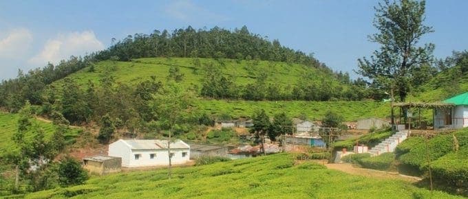 Kolukkumalai Tea Estate Munnar- Sunrise, Jeep Safari, Trekking & Travel Guide (2026)
