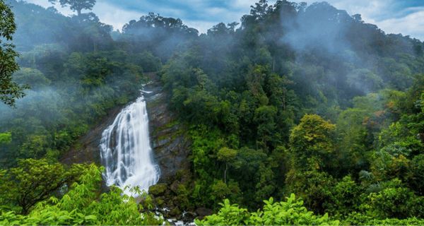Relax in Munnar - Image 1
