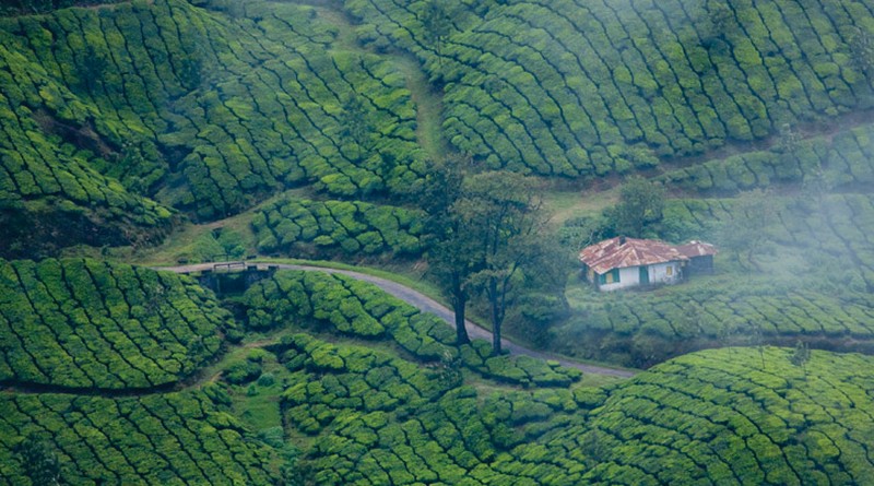 Munnar Kumarakom Backwaters Tour - Image 3