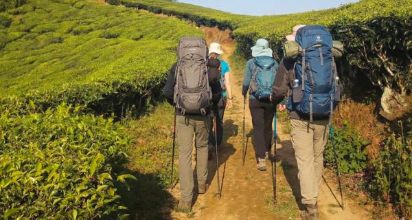 Munnar top valley trekking tour