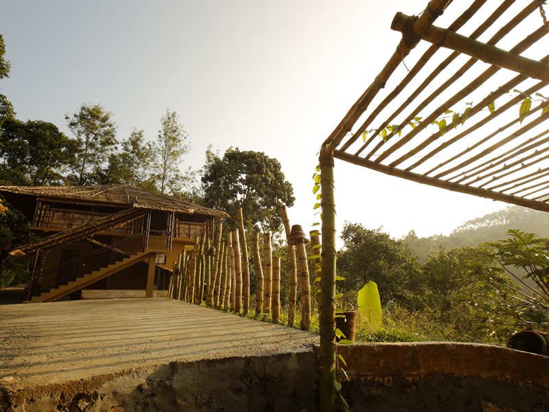 eco-tunes-munnar