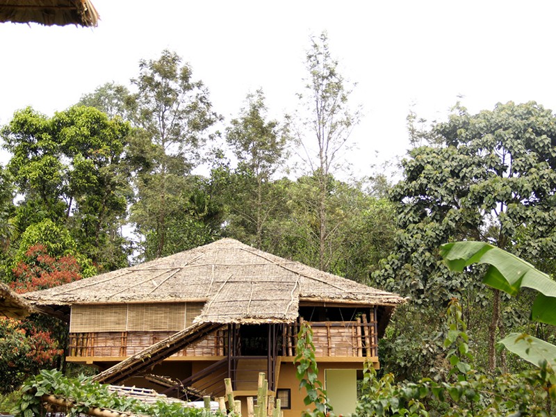 eco-tunes-munnar
