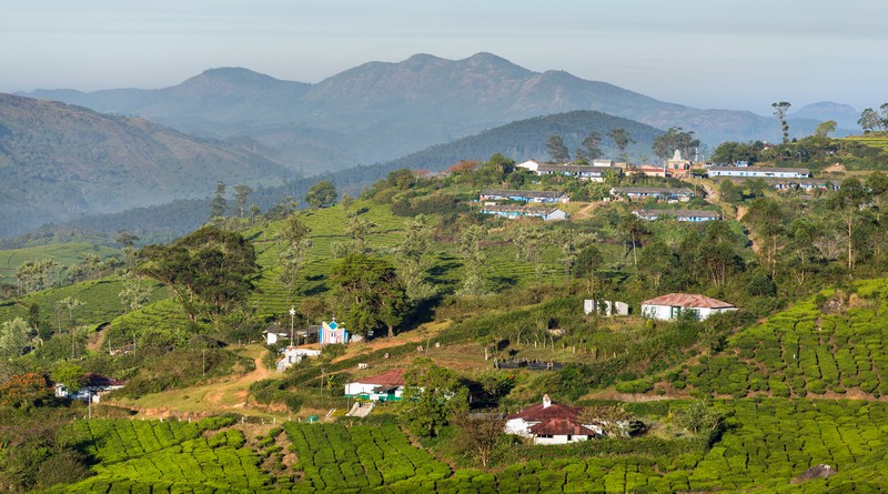 grand-tour-of-munnar-and-backwaters