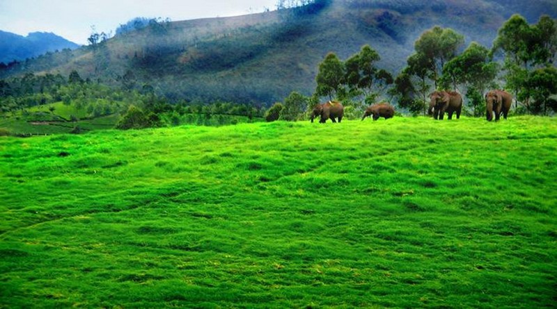 weekend-munnar-budget-tour-package