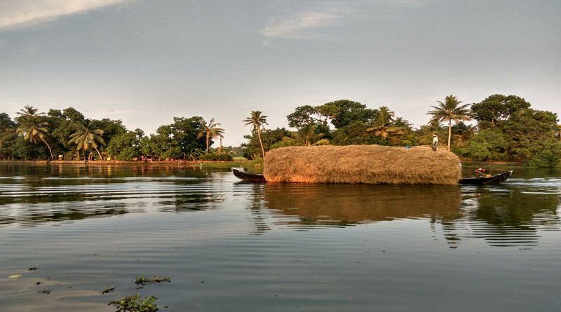 grand-tour-of-munnar-and-backwaters