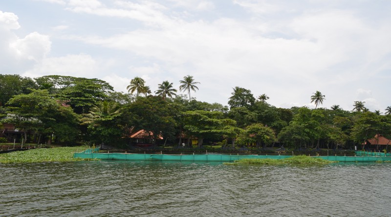 grand-tour-of-munnar-and-backwaters