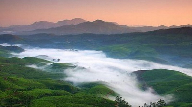 grand-tour-of-munnar-and-backwaters