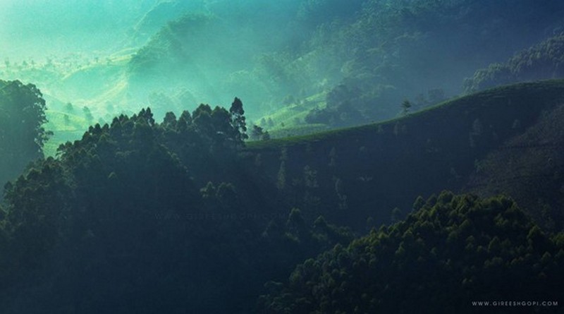 exuberant-munnar-and-kumarakom