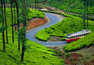 misty-munnar-package