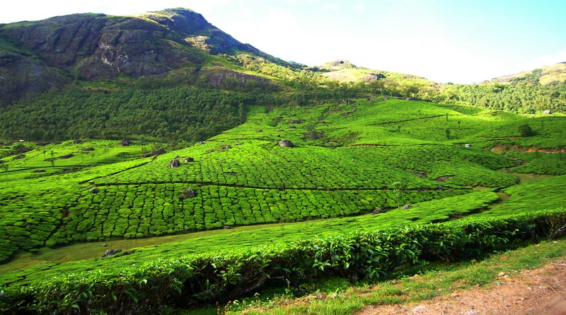 munnar-houseboat-kerala-holiday-package