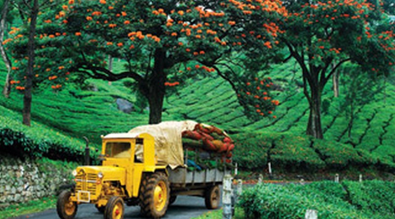 munnar-houseboat-kerala-holiday-package