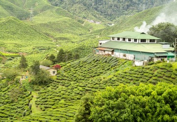 relax-in-munnar