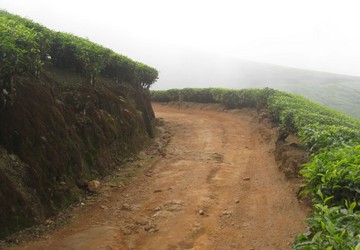 relax-in-munnar