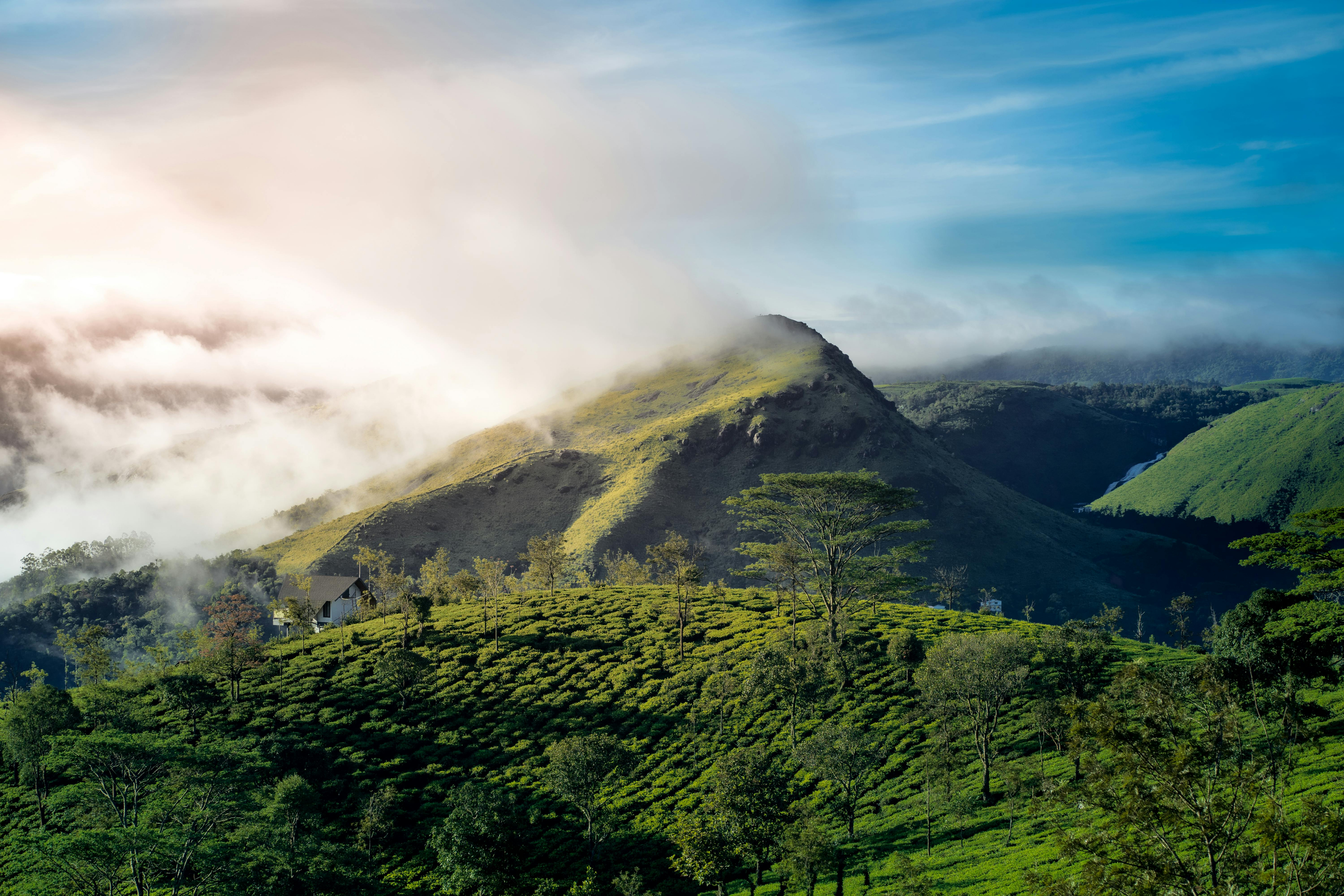 Top Station Munnar-Is It Worth It?