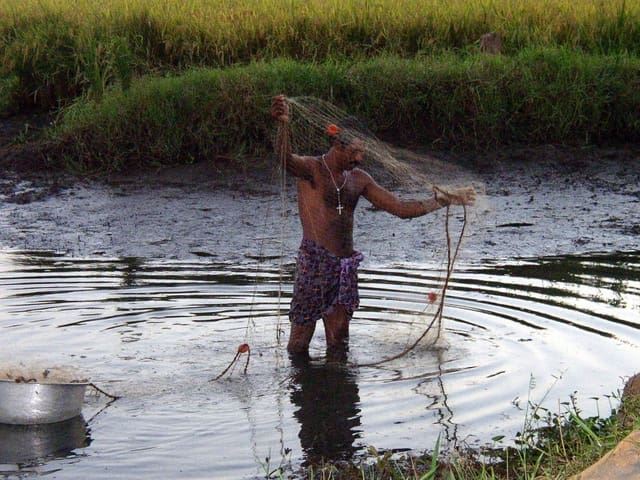 angling-fish-munnar