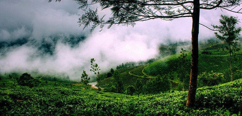 How to reach Munnar By Car, Air, Road and Train