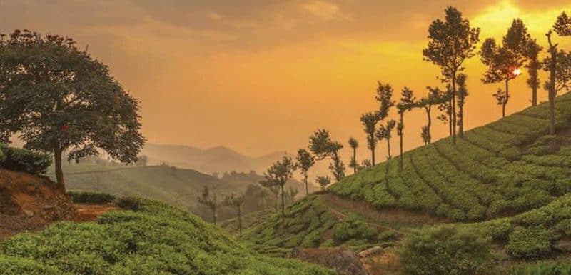 How many days trip is good for Munnar & Mistakes to Avoid