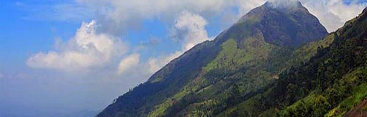 Lockhart Gap Munnar- Best Time to Visit & Entrance Fees