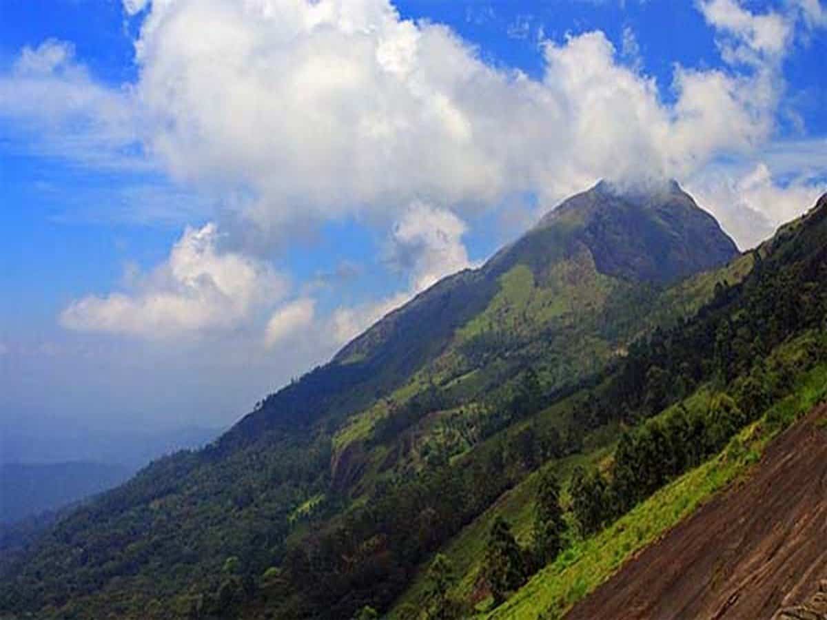 Lockhart Gap Munnar- Best Time to Visit & Entrance Fees