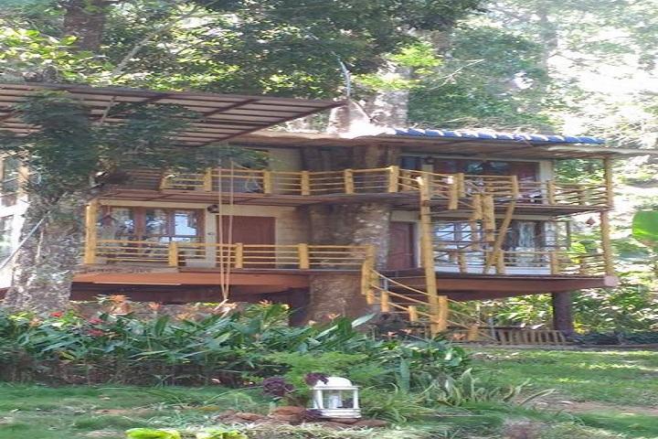 Jungle Jive Treehouse