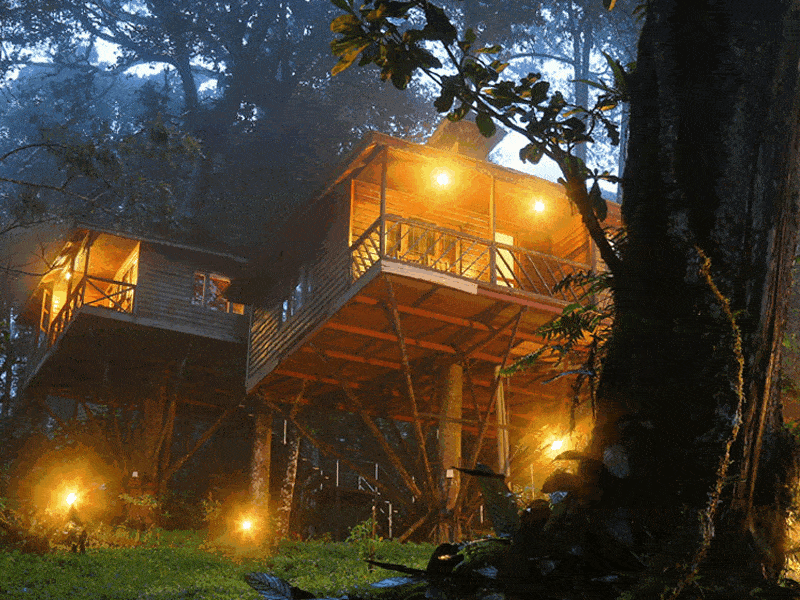 Best Treehouse Resorts in Munnar Munnar Insider