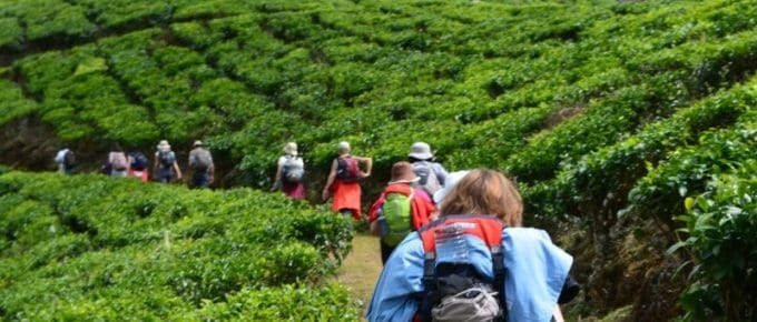 meesapulimala-trekking