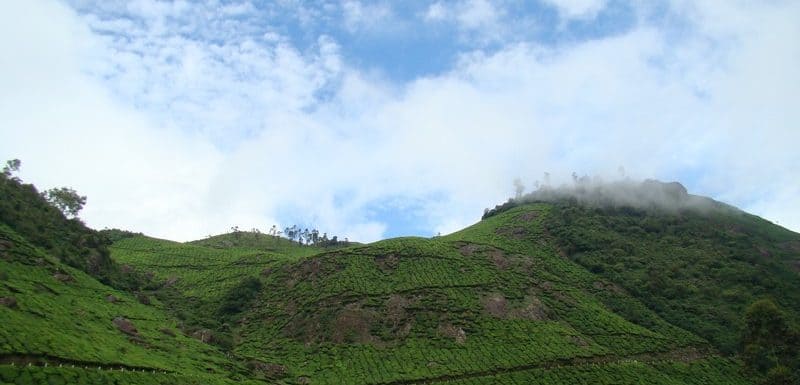 Pothamedu View Point – What to know & Best Time to Visit