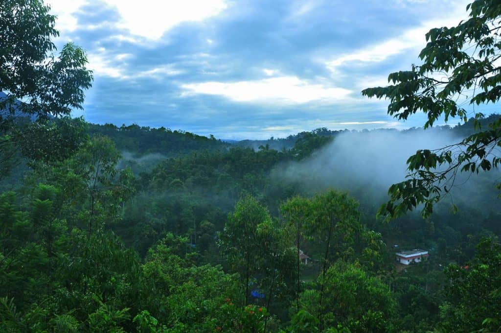 Romantic Things to see in Munnar