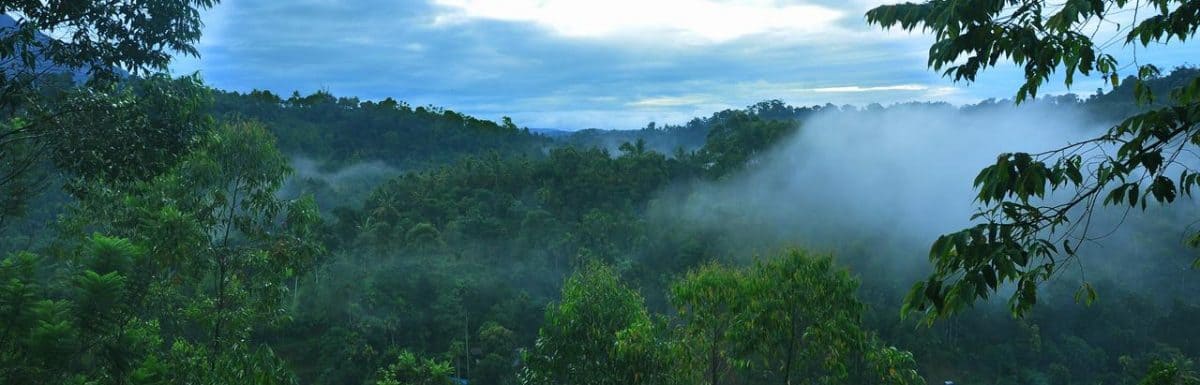 Munnar Honeymoon Tourist Places-10 Romantic Places in Munnar to visit on your  Honeymoon