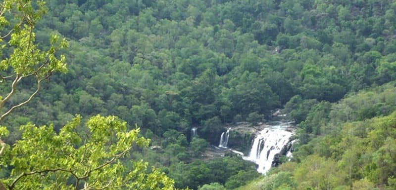 Thoovanam Waterfalls – Best Time to Visit