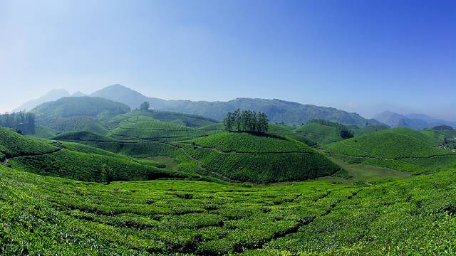 Munnar Honeymoon Tourist Places