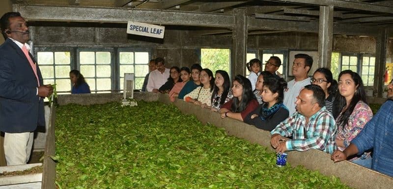 100 year Lockhart Tea Factory Munnar