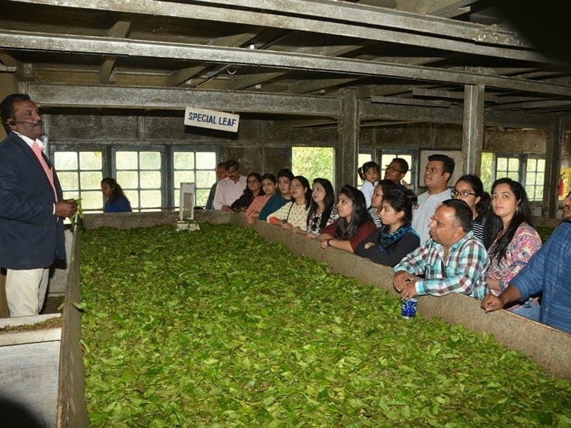 Demonstration at Lockhart Tea Factory and Museum in Munnar