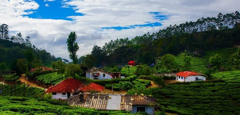 Top 15 Must Visit Munnar Tourist Places