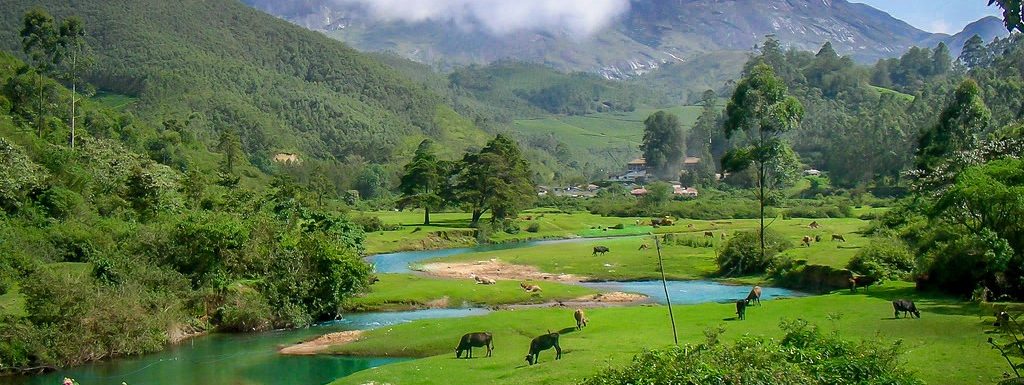 Anamudi Peak Munnar- Photos, Entry Fee, Timings & Trekking